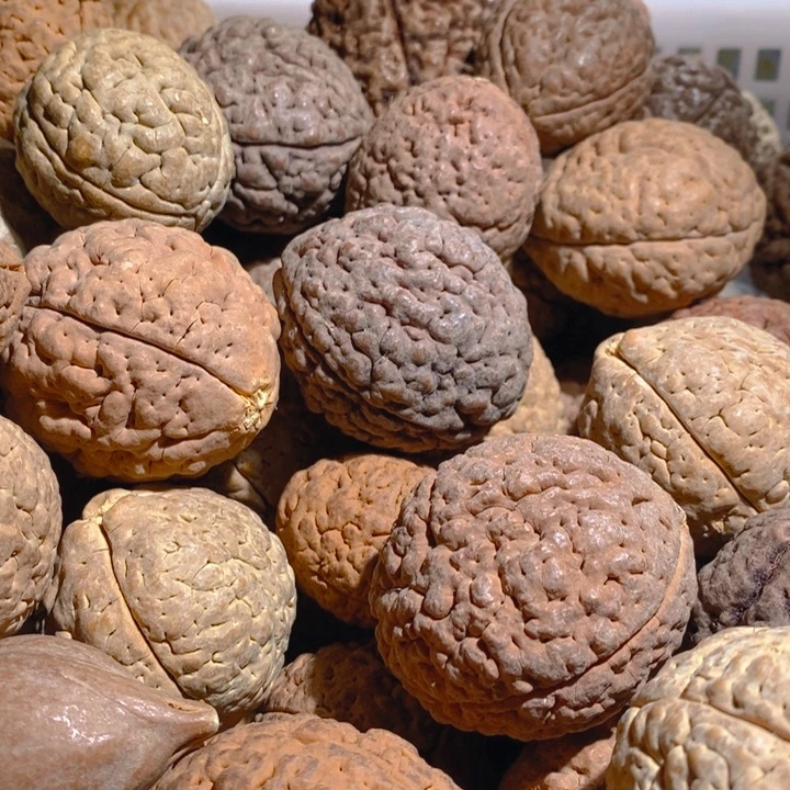 野生三瓣脑纹大金刚6颗