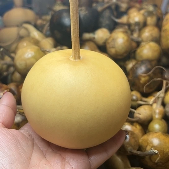 ꧁**꧂葫芦葫芦hu lu hu lu