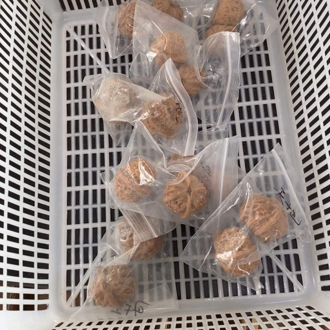 文玩核桃吊坠天地有瑕疵