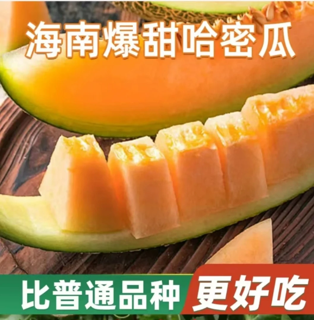【海南直发】新鲜哈密瓜现摘水果非玲珑蜜瓜西州蜜网纹瓜产地直发