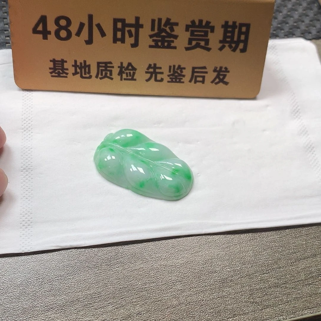 颈饰未镶嵌翡翠叶子