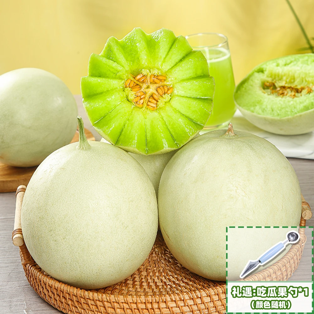 【恰好庄园】山东玉菇甜瓜4.5-5斤 2个装 包邮