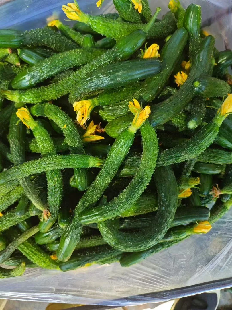 新鲜小黄瓜手指粗细可腌制咸菜下饭菜