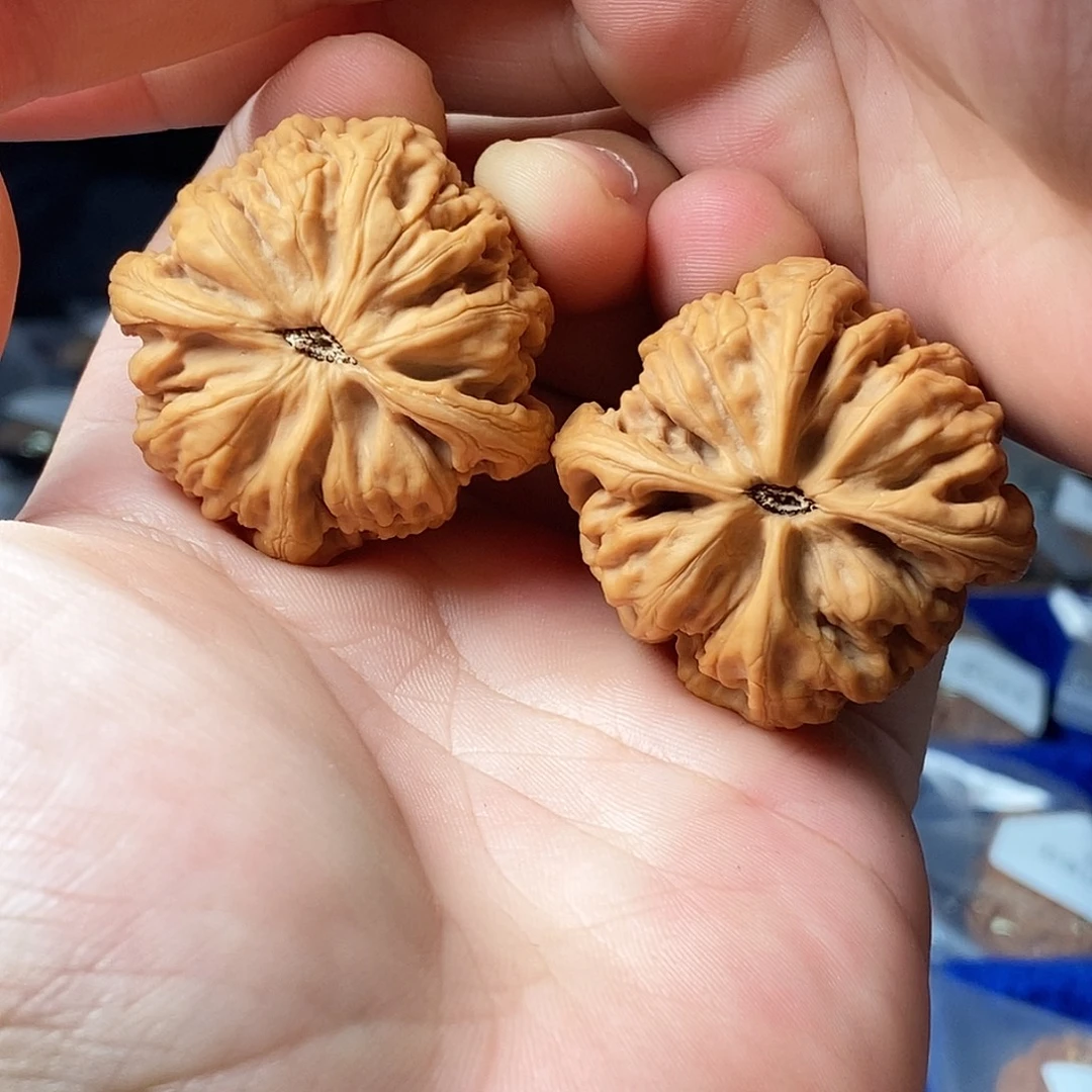 文玩核桃把件全品九龙