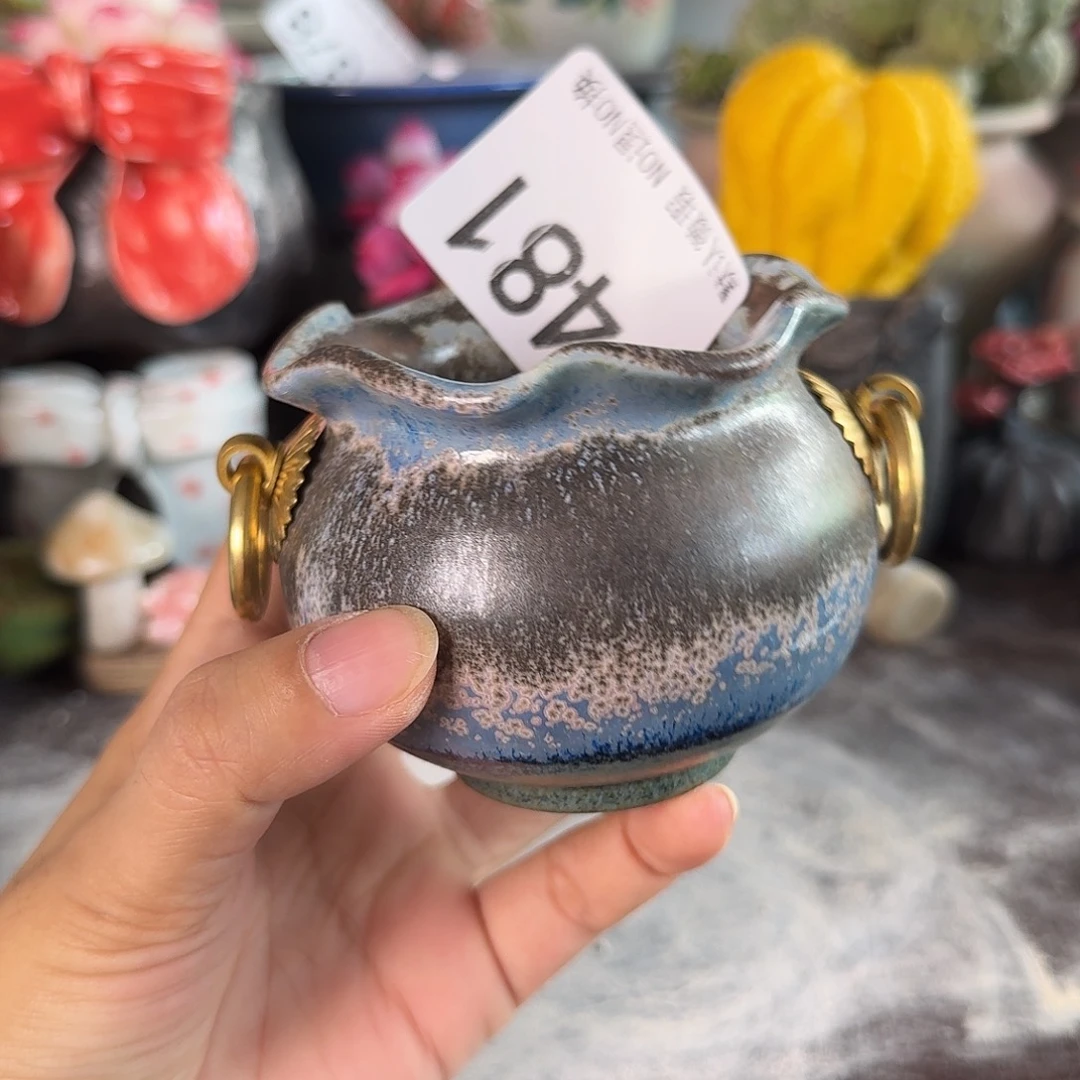 重庆小燕子欢迎大家481
