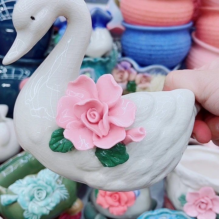 多肉植物陶瓷花盆