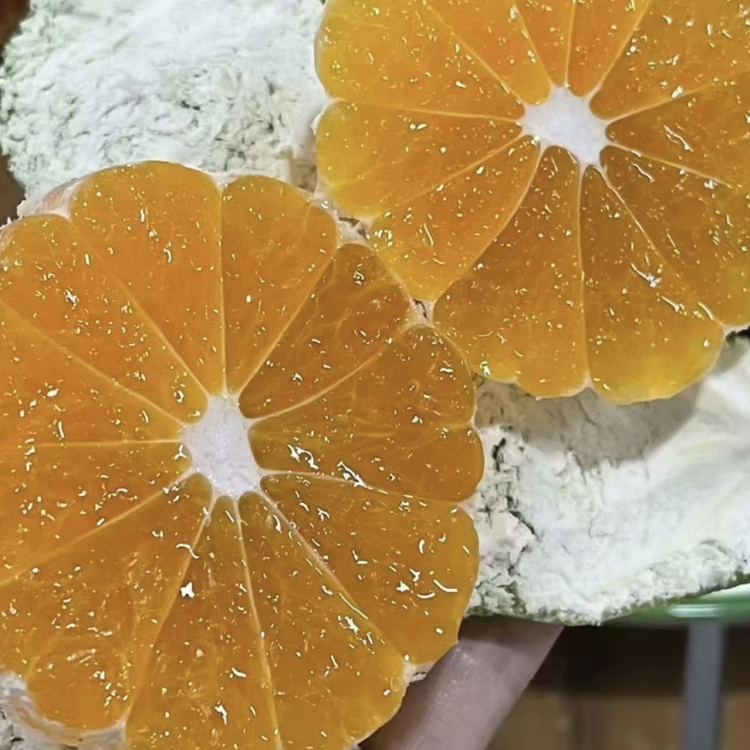 云南高山冰糖心蜜桔现摘新鲜青皮无籽蜜橘应季酸甜多汁孕妇水果