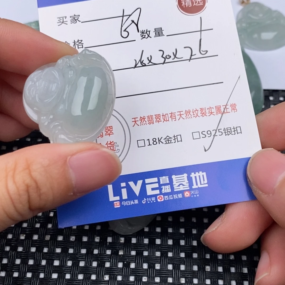 翡翠银S925镶嵌颈饰