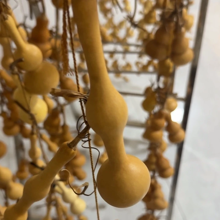 *****精品八宝杆子周正