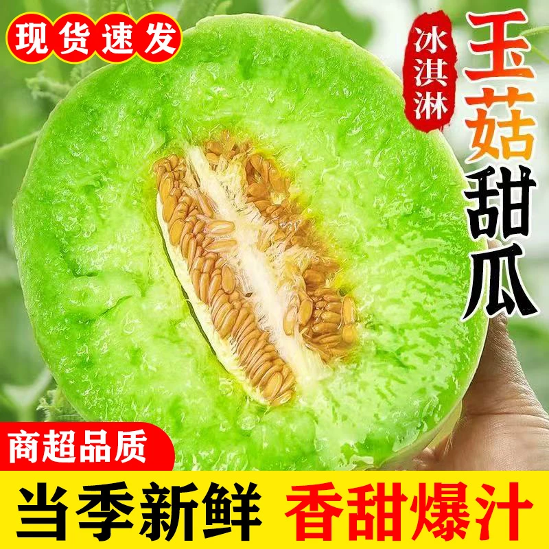 山东头茬玉菇甜瓜冰淇淋香甜瓜当季软糯香甜山东水果绿肉当季现货