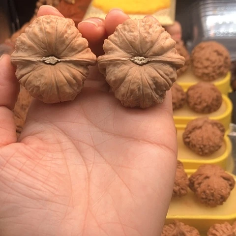 自***志手串/手链核桃43南瓜墩狮子头