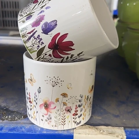 ···2个处理······7030