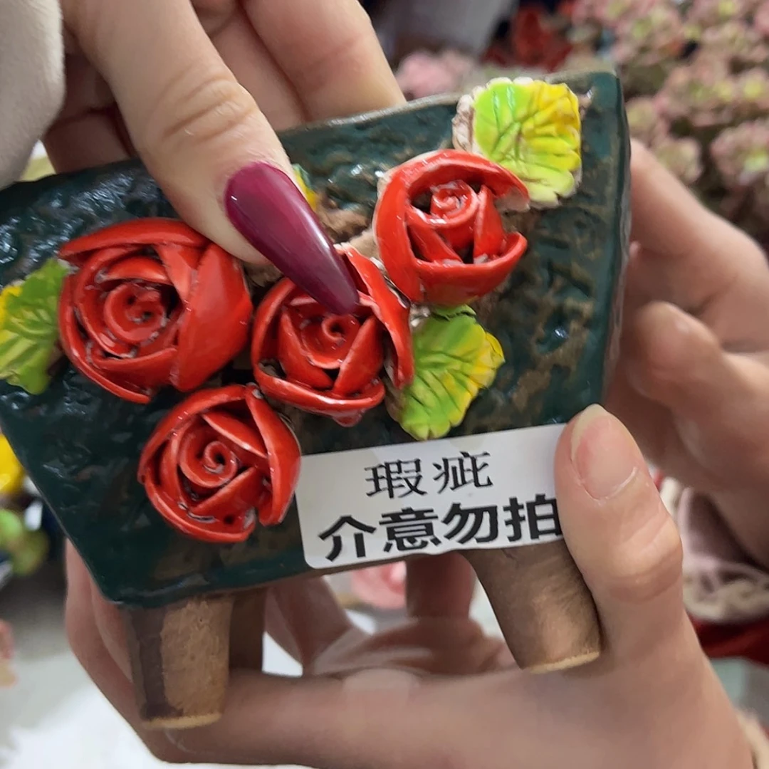 【闪购商品】红陶福利