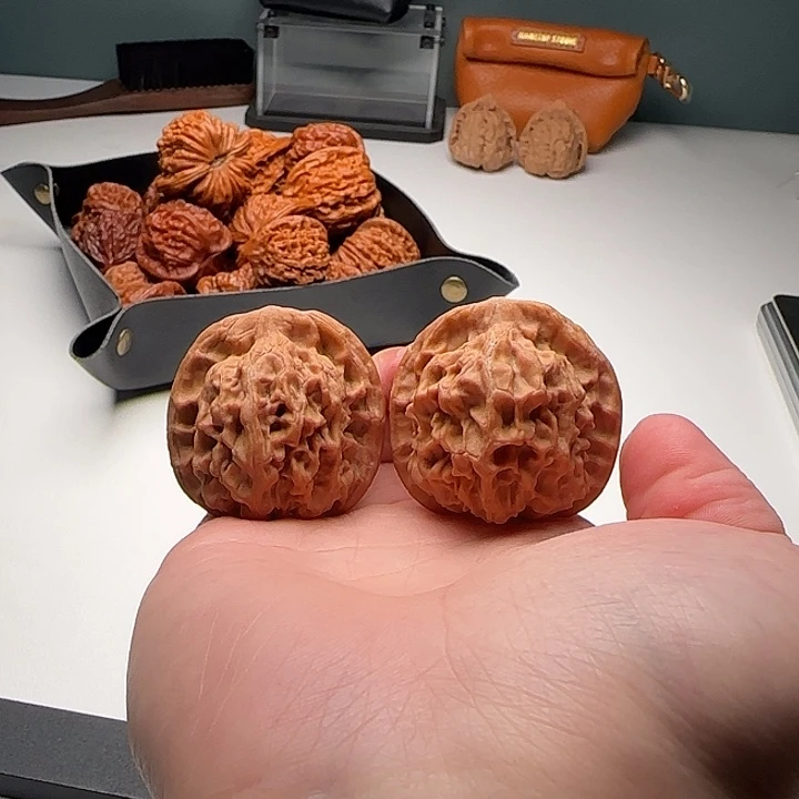 39-37-38一代天地13号