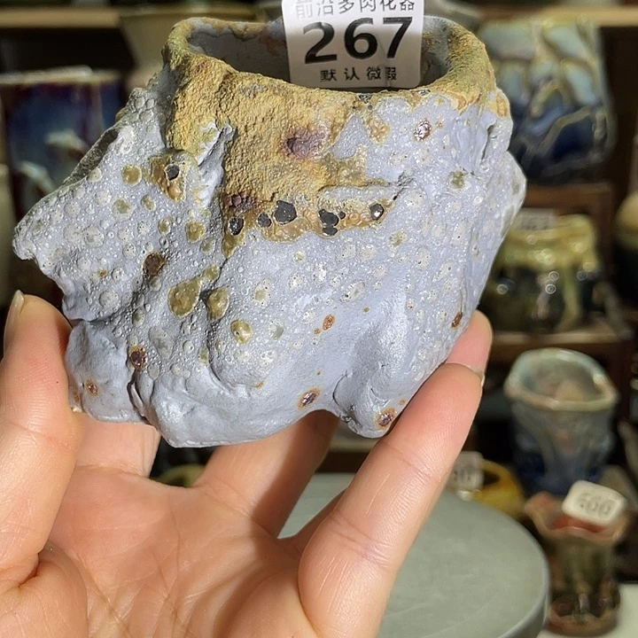狼盆内口径5高度7