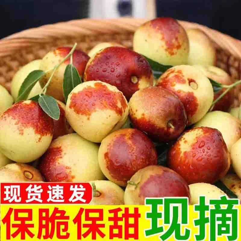 正宗新鲜冬枣鲜枣脆枣水果应当季爆甜大枣子当季鲜果彩箱包装