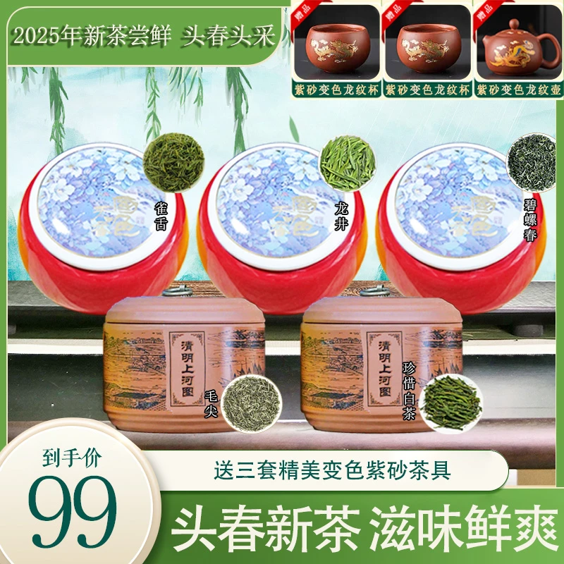 雀舌+龙井+碧螺春+珍稀白茶+毛尖 +3套变色紫砂茶具