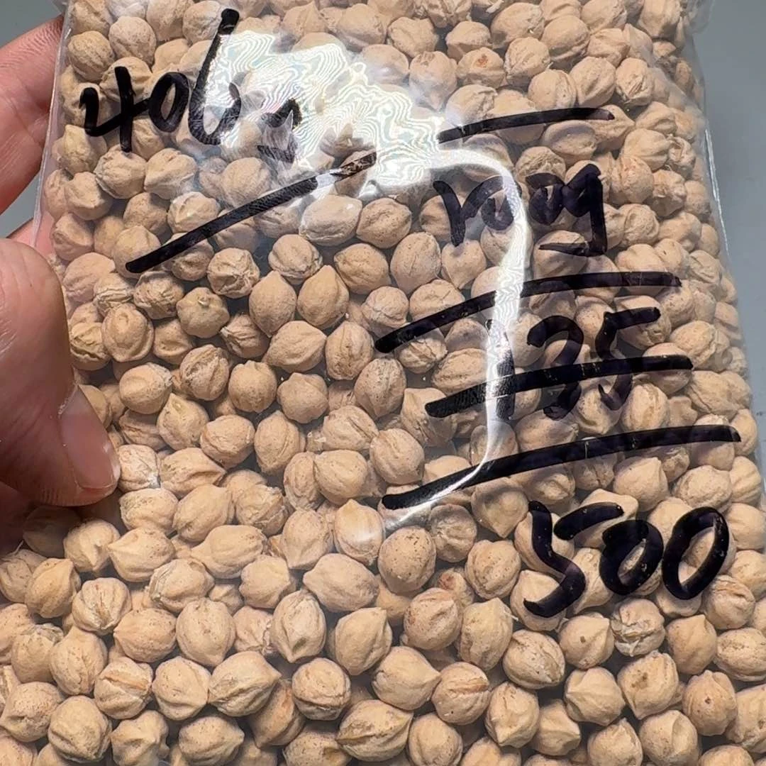 柏香籽/百香籽吊坠廖**e