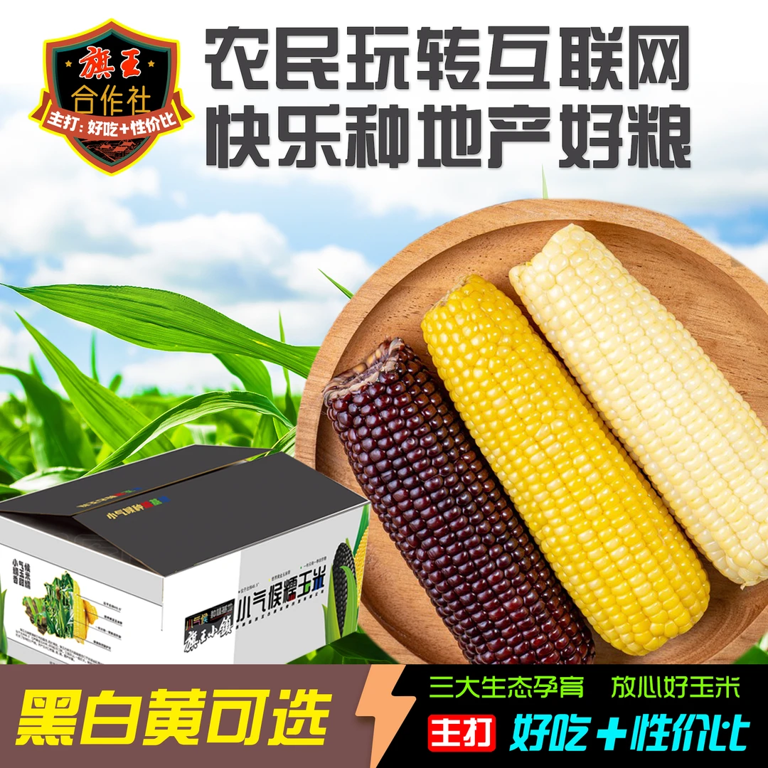 旗王合作社特等有机果】东北糯玉米黑白黄可选锡纸真空包装