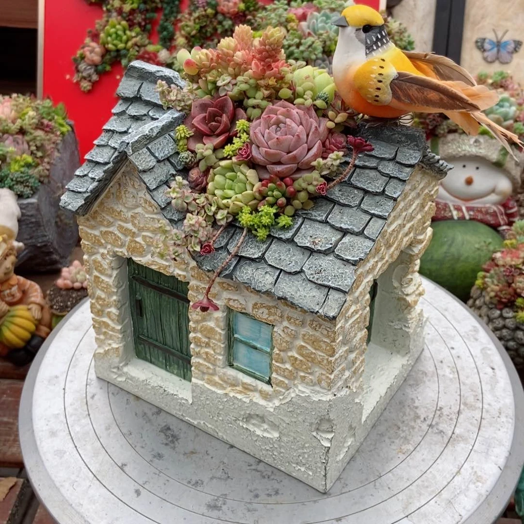 老房子成品发货送几颗多肉