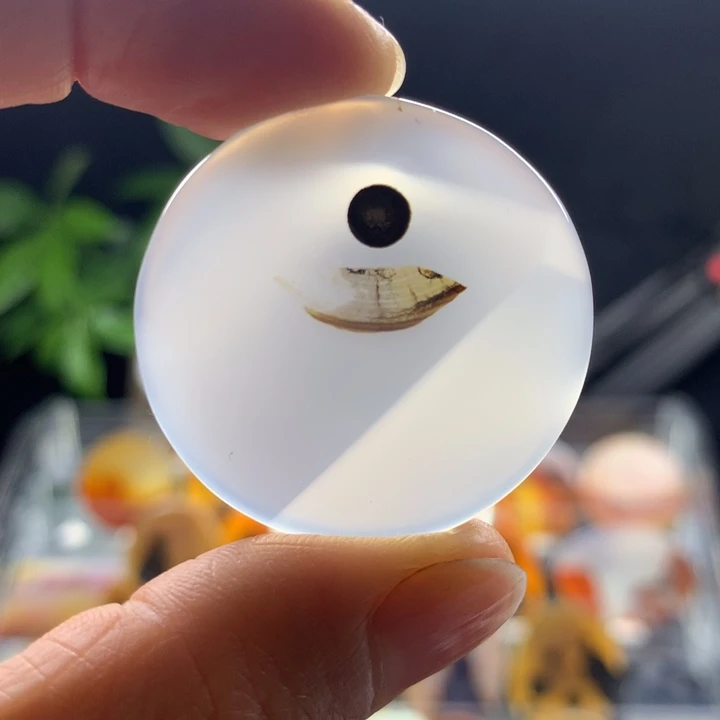 玛瑙/玉髓颈饰未镶嵌210