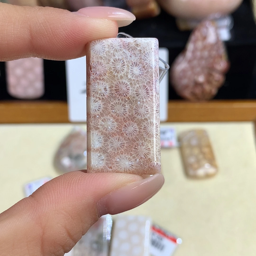 吊坠(赠链)未镶嵌硅化珊瑚（珊瑚玉）15号上新吊坠