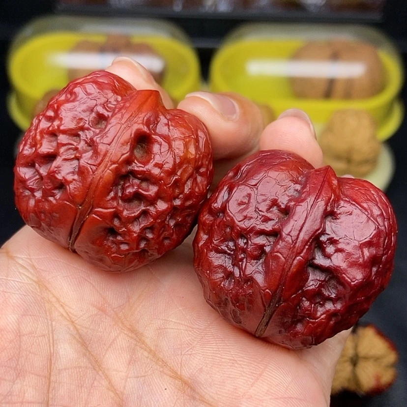 【闪购商品】文玩核桃把件36尺红彩帝王筋元宝