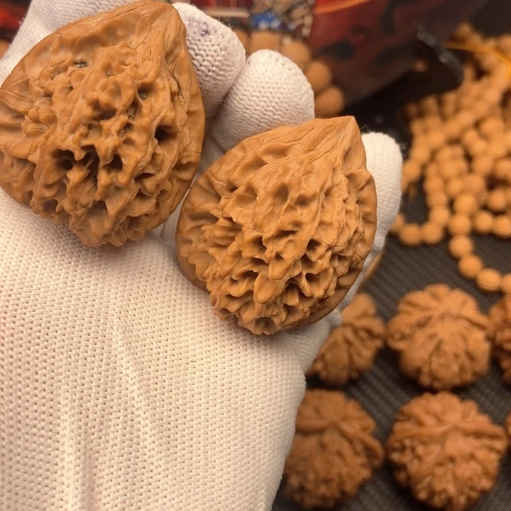 秦岭山地核桃鸡心