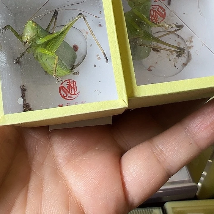 转***3蟋蟀哈哈哈哈哈哈哈哈哈哈哈哈