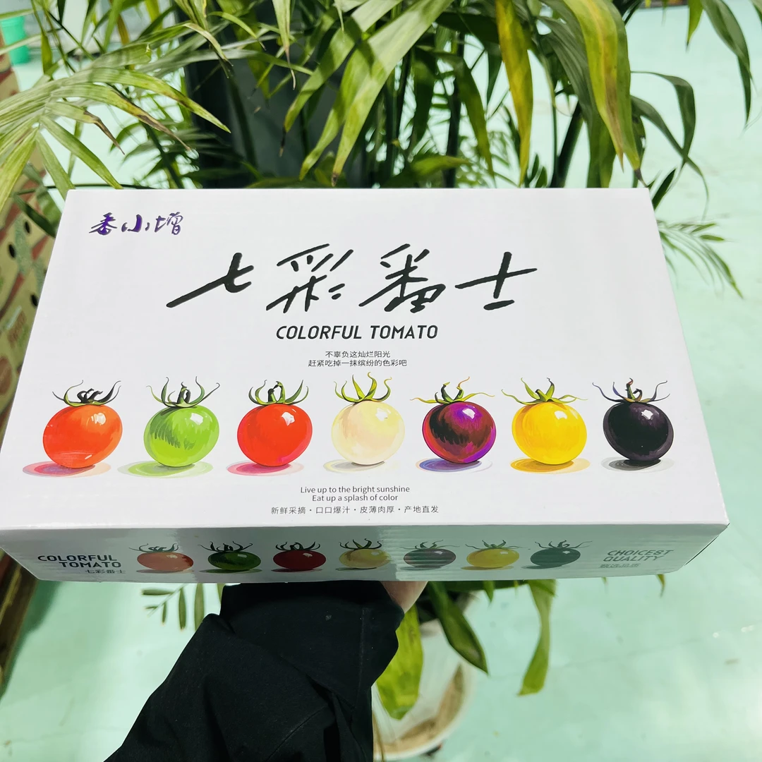 【一箱】七彩小柿子新鲜水果 带箱2斤左右 只发山西省内