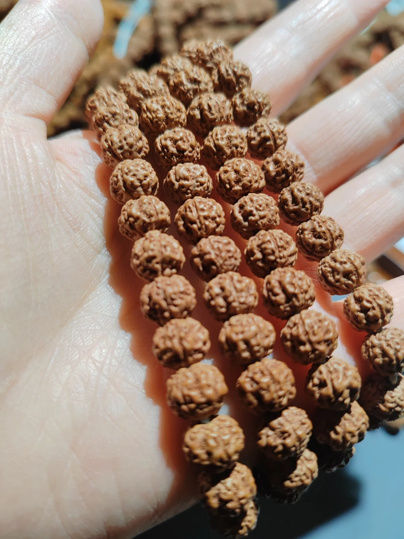 原皮原色原生态闷墩梅花小金刚高货不高价限量购