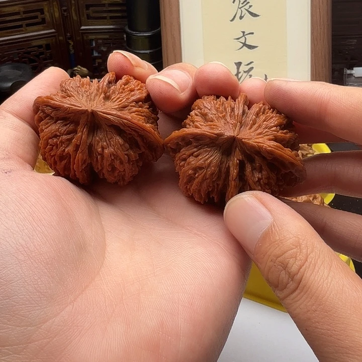 核桃满天星球连体4棱