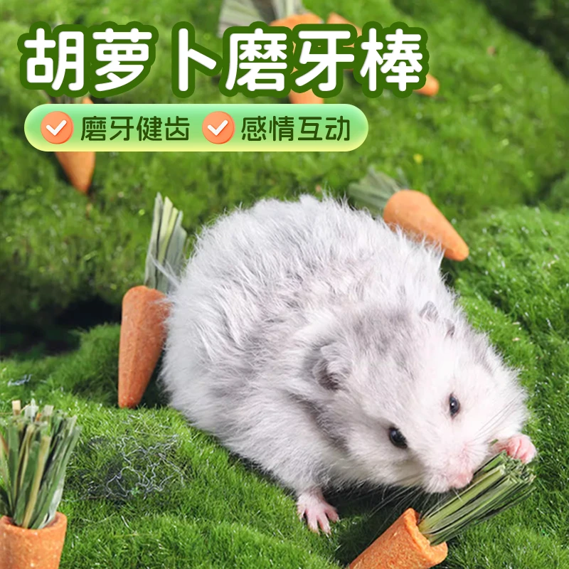 【宠大条】仓鼠胡萝卜磨牙棒小零食饼干粮食可吃造景金丝熊兔子草饼