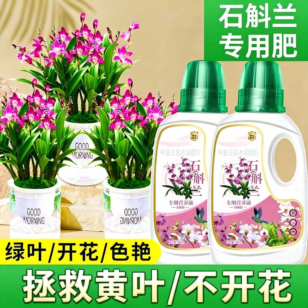 七彩香水石斛兰专用浓缩营养液紫云泼墨粉黛秋石斛专用水溶液体肥