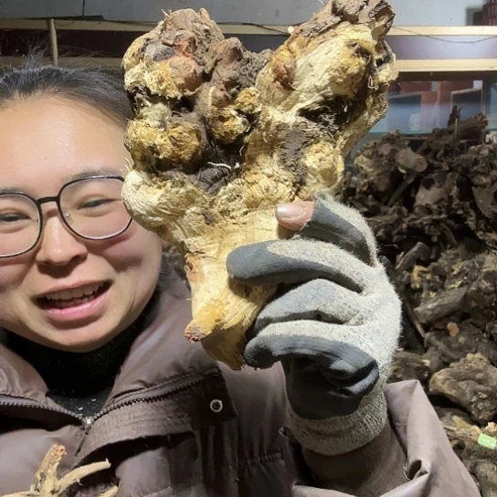 香榧木凉火琉璃的毛料摆件