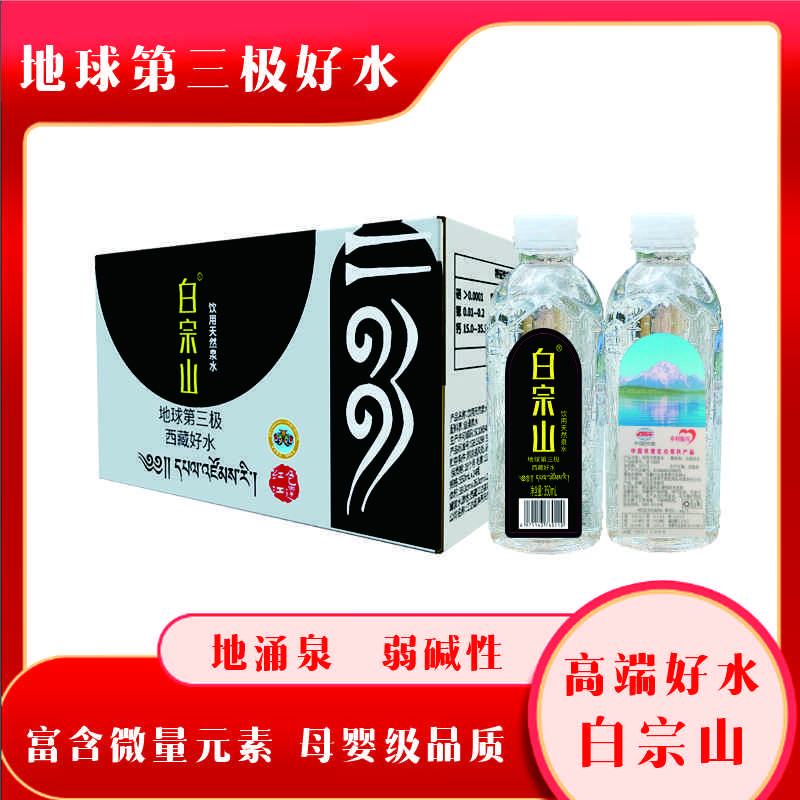 中国铁建 西藏江达 雪岩泉 白宗山饮用水 350ml*24