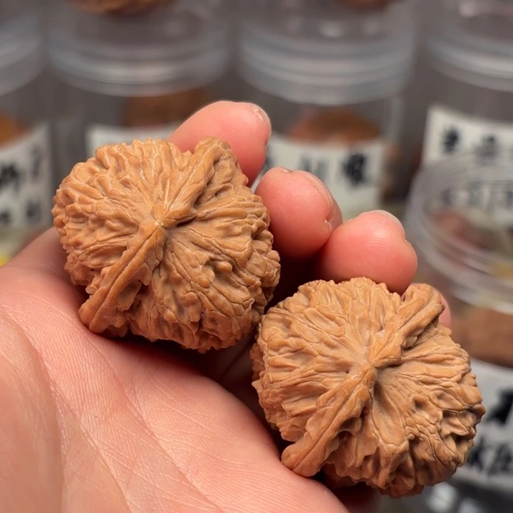 桃核吊坠35白狮子11111