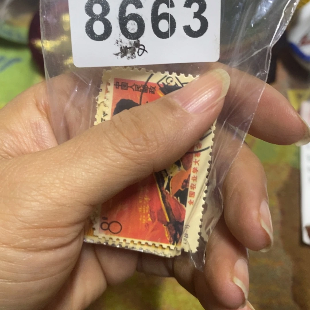 景德镇陶瓷艺术家