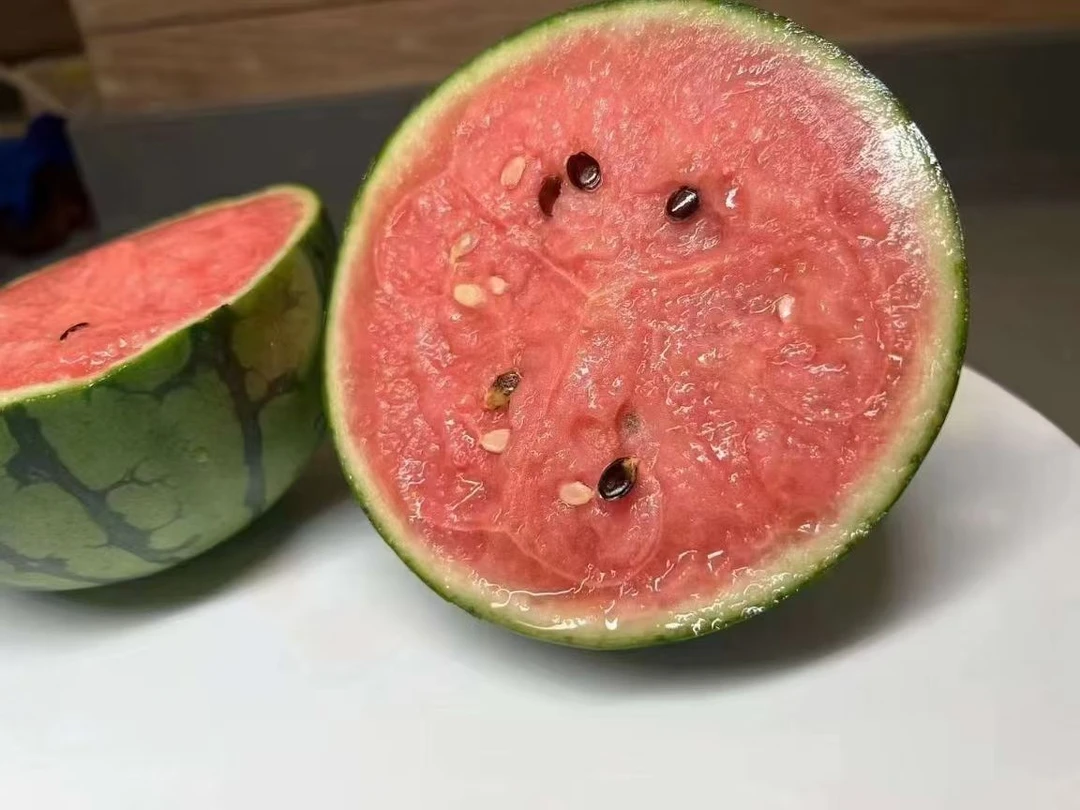 商河富硒珍珠红西瓜，冰糖脆甜！3粒、一箱6粒拍