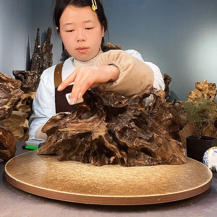 茶盏项**院917株木随行的小根艺