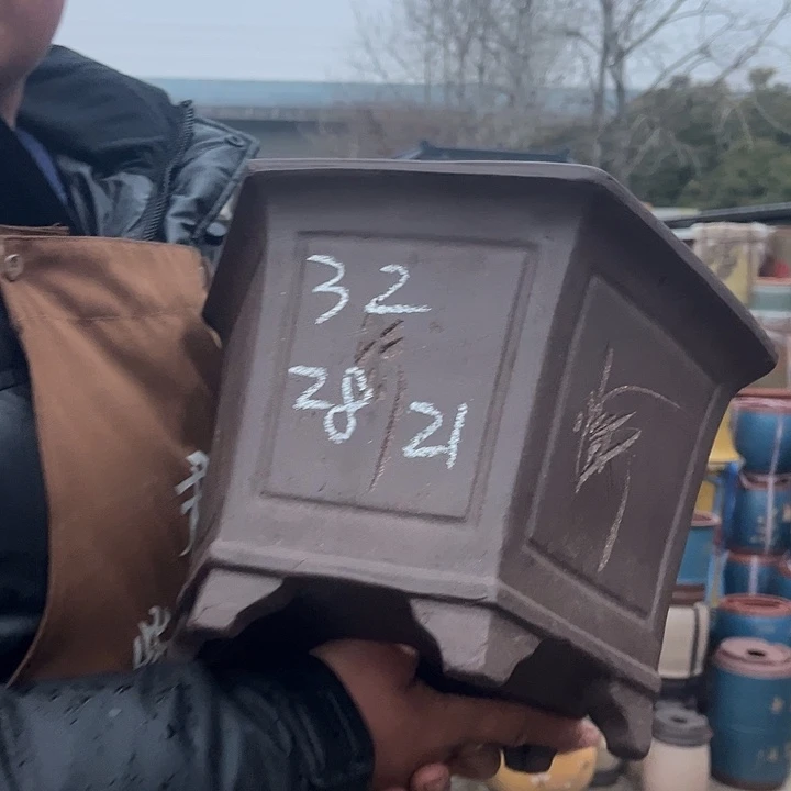 紫砂紫砂花盆盆栽