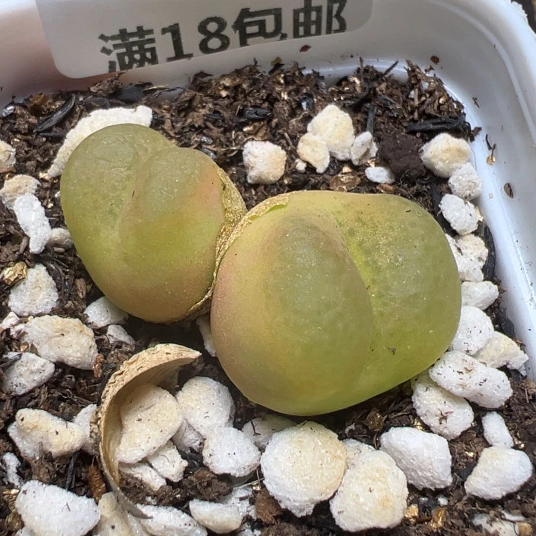 【闪购商品】 763。