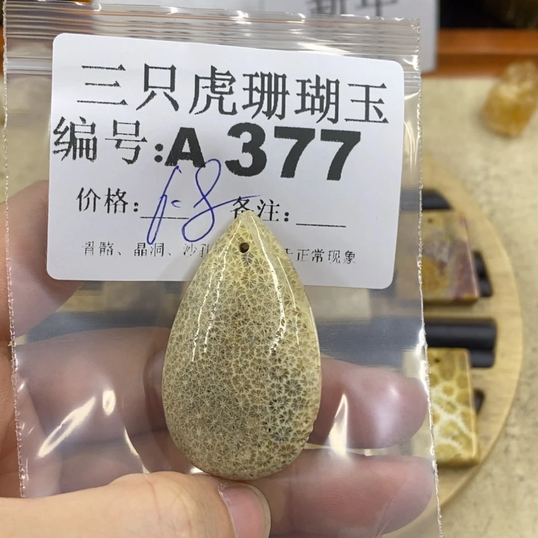 硅化珊瑚（珊瑚玉）1未镶嵌蒲*英