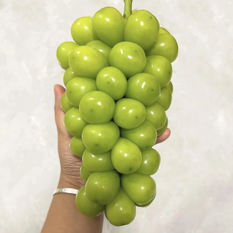 【35员/净重7-8斤】大果阳光玫瑰晴王葡萄香印青提葡萄顺丰包邮