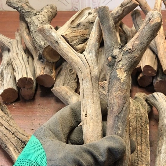 大果紫檀（缅甸花梨）悟****品