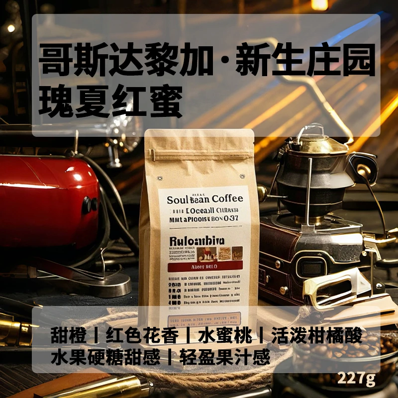 术也咖啡 哥斯达黎加·新生庄园·红蜜瑰夏新鲜烘焙咖啡豆227克