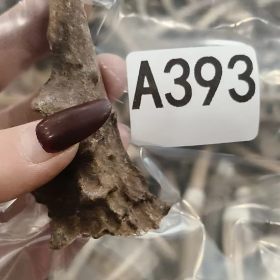 华***子鹿角鹿角鹿角鹿角鹿角