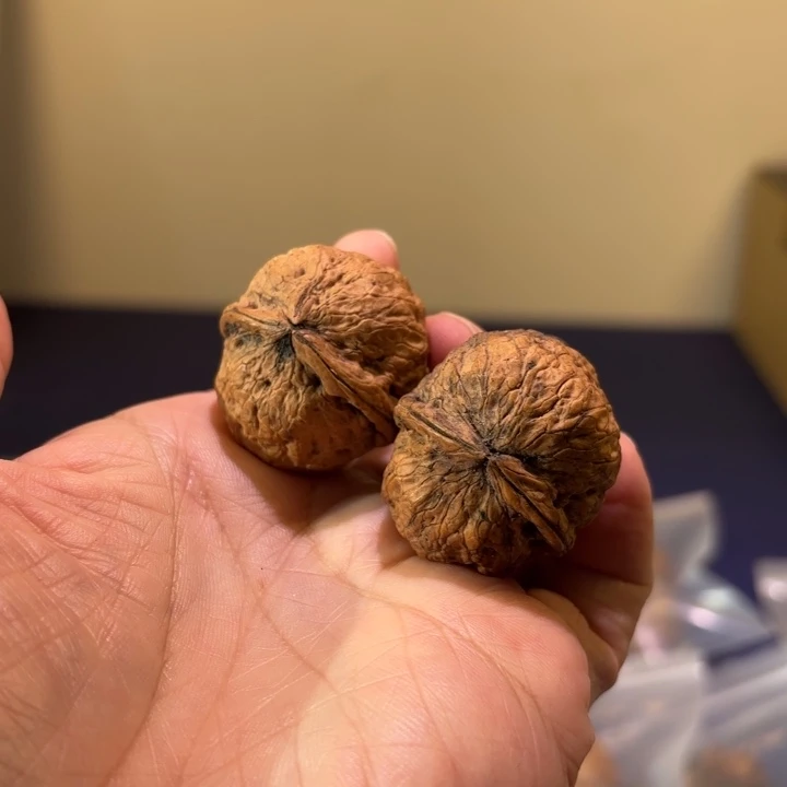 文玩核桃吊坠红河龙珠