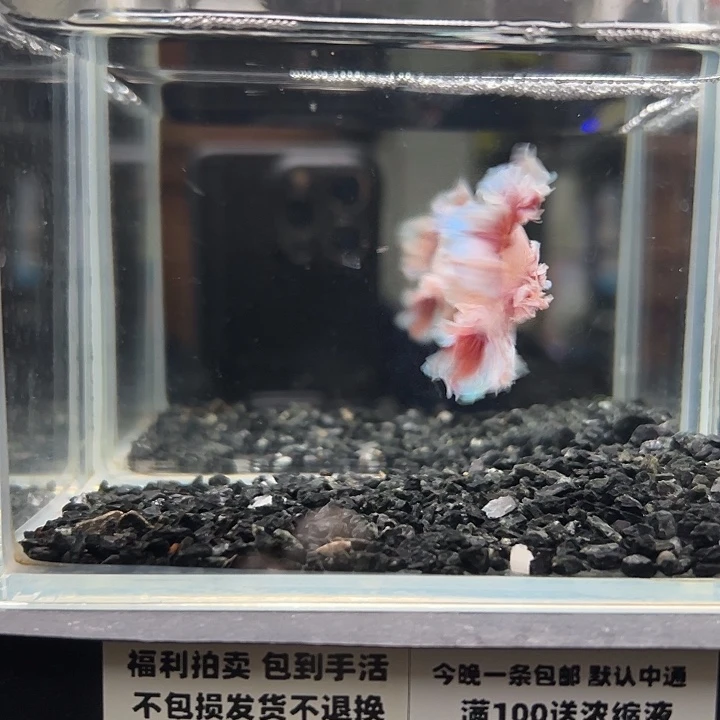 斗鱼跑单拉黑7日68