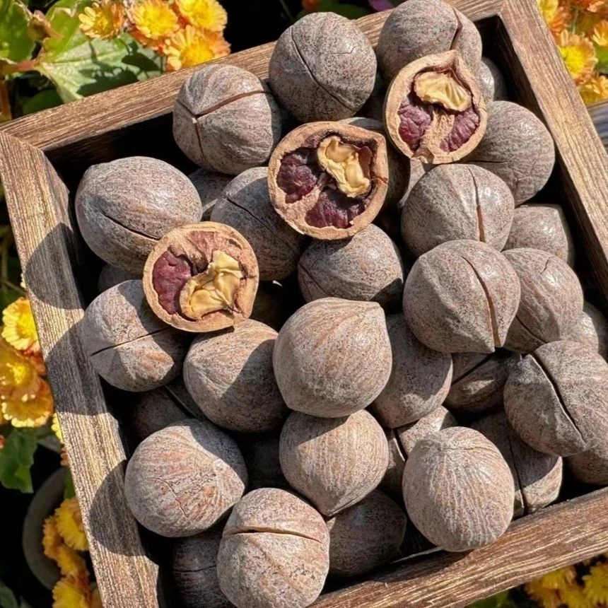 楚小姐25年新货临安非手剥山核桃特大籽原籽坚果炒货饱满袋装零食